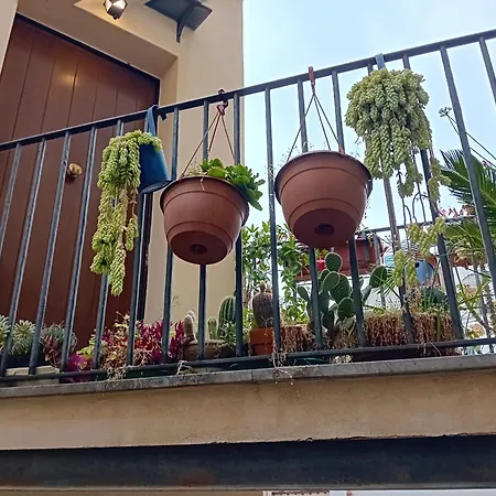 Apartment Capo
