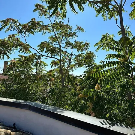 아파트 Capo 팔레르모