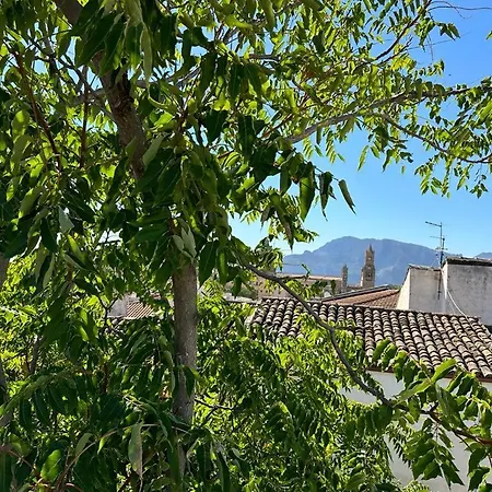 Apartmán Capo *