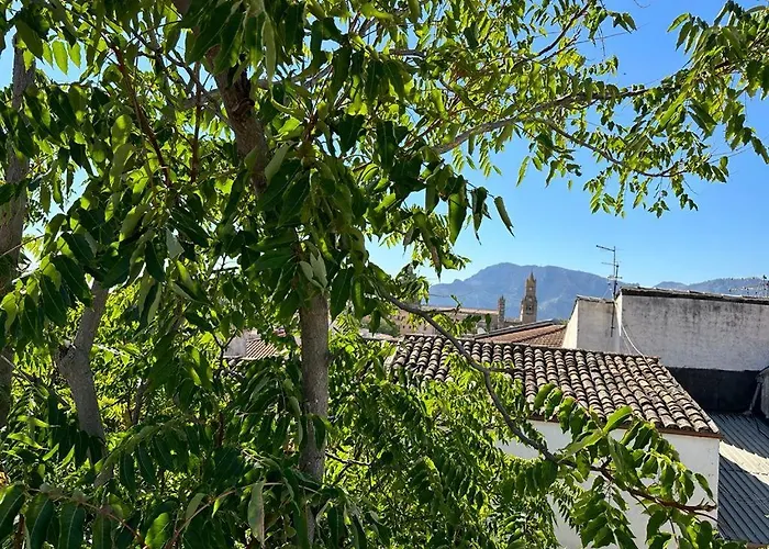 Апартаменты Capo *